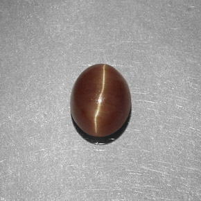 Cat's eye apatite amarillo natural de 1,47 ct, corte óvalo, translúcido