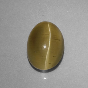Apatita Ojo de Gato Dorado verdoso natural de 1.48 ct, Corte Óvalo, Translúcido