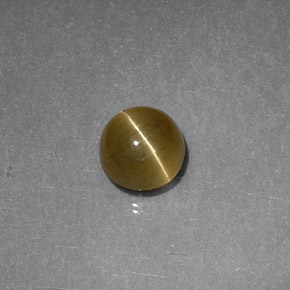 Apatita Ojo de Gato Dorado verdoso natural de 1.12 ct, Transparente, Transparente / Translúcido