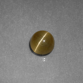 Apatita Ojo de Gato Dorado verdoso natural de 1.12 ct, Transparente, Transparente / Translúcido