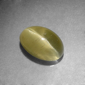 Cat's eye apatite verde natural de 1,31 ct, corte óvalo, translúcido