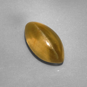 Apatita ojo de gato dorado verdoso natural de 2,59 ct, transparente, transparente / translúcido