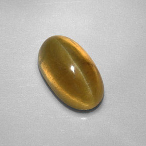 Apatita Ojo de Gato Dorado verdoso natural de 2.87 ct, Transparente, Transparente / Translúcido
