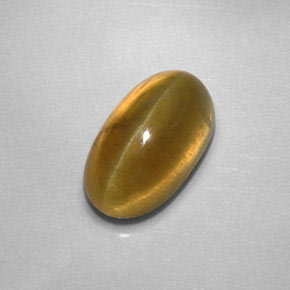 Apatita Ojo de Gato Dorado verdoso natural de 2.87 ct, Transparente, Transparente / Translúcido