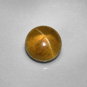 Apatita Ojo de Gato Dorado natural de 2.26 ct, Transparente, Transparente / Translúcido