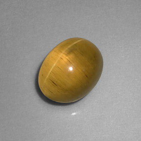 Apatita Ojo de Gato Verde dorado natural de 1.77 ct, Transparente, Transparente / Translúcido