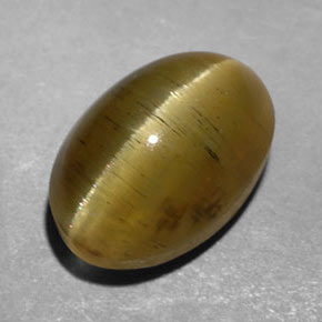 Apatita Ojo de Gato Verde dorado natural de 3.47 ct, Transparente, Transparente / Translúcido