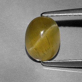 Apatita ojo de gato verde dorado natural de 1,44 ct, transparente, transparente / translúcido