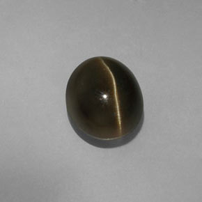Cat's eye apatite verde natural de 5,70 ct, corte óvalo, translúcido