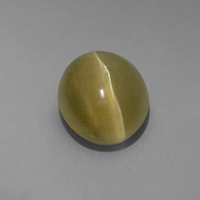 Cat's eye apatite verde natural de 4,80 ct, transparente, transparente / translúcido