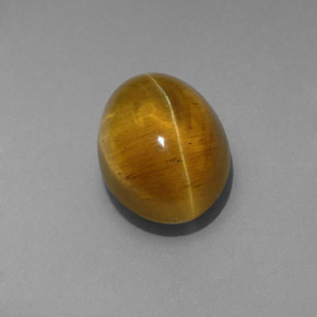 Apatita Ojo de Gato Dorado verdoso natural de 4.85 ct, Transparente, Transparente / Translúcido