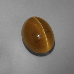Cat's eye apatite amarillo natural de 9,54 ct, transparente, transparente / translúcido