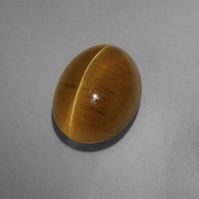 Cat's eye apatite amarillo natural de 9,54 ct, transparente, transparente / translúcido