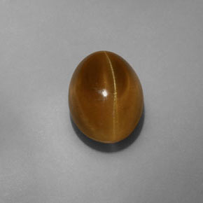 Apatita Ojo de Gato Dorado verdoso natural de 7.75 ct, Transparente, Transparente / Translúcido