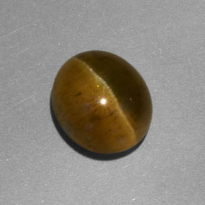 Apatita Ojo de Gato Dorado verdoso natural de 3.92 ct, Transparente, Transparente / Translúcido