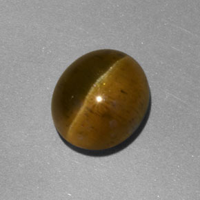 Apatita Ojo de Gato Dorado verdoso natural de 3.92 ct, Transparente, Transparente / Translúcido