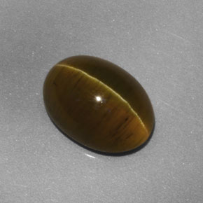 Apatita Ojo de Gato Verde dorado natural de 3.41 ct, Transparente, Transparente / Translúcido