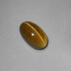 Apatita Ojo de Gato Dorado verdoso natural de 2.58 ct, Transparente, Transparente / Translúcido