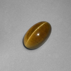 Apatita Ojo de Gato Dorado verdoso natural de 2.58 ct, Transparente, Transparente / Translúcido