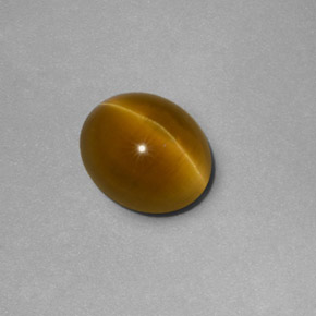 Apatita Ojo de Gato Dorado verdoso natural de 2.81 ct, Transparente, Transparente / Translúcido