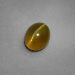 Apatita Ojo de Gato Dorado verdoso natural de 2.68 ct, Transparente, Transparente / Translúcido