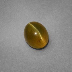 Apatita Ojo de Gato Dorado verdoso natural de 2.68 ct, Transparente, Transparente / Translúcido
