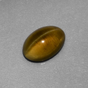 Apatita Ojo de Gato Dorado verdoso natural de 1.26 ct, Transparente, Transparente / Translúcido