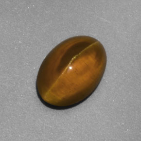 Cat's eye apatite amarillo natural de 2,02 ct, transparente, transparente / translúcido