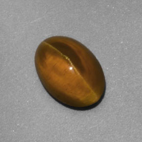 Cat's eye apatite amarillo natural de 2,02 ct, transparente, transparente / translúcido
