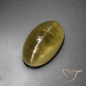 12.95ct Natural Amarillo terroso Apatita Ojo de Gato, Ovalada, Translúcido