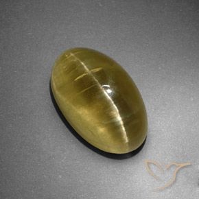 Apatita Ojo de Gato Amarillo terroso natural de 12.95 ct, Ovalada, Translúcido