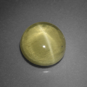 Apatita Ojo de Gato Verde dorado natural de 1.66 ct, Corte Redondo, Translúcido