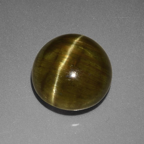 Apatita Ojo de Gato Verde dorado natural de 4.23 ct, Corte Redondo, Translúcido
