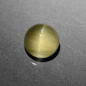 Cat's eye apatite oro natural de 6,11 ct, corte redondo, translúcido
