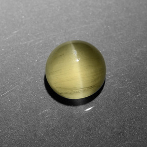 Cat's eye apatite oro natural de 6,11 ct, corte redondo, translúcido