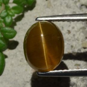 Apatita Ojo de Gato Naranja natural de 3.16 ct, Corte Óvalo, Translúcido