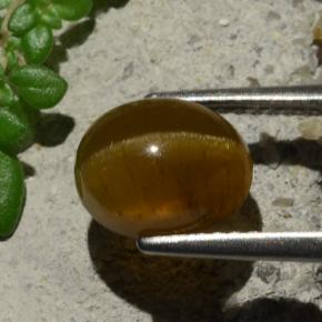 Apatita Ojo de Gato Naranja natural de 3.16 ct, Corte Óvalo, Translúcido