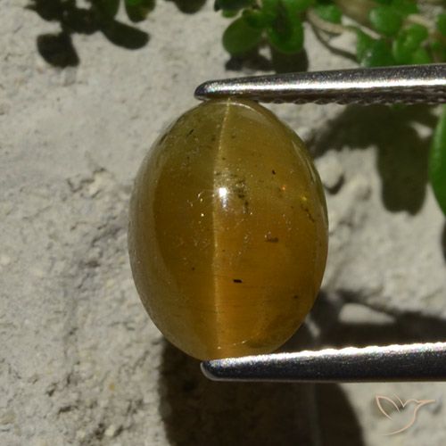 3.64ct Natural Marrón claro Apatita Ojo de Gato, Ovalada, Translúcido