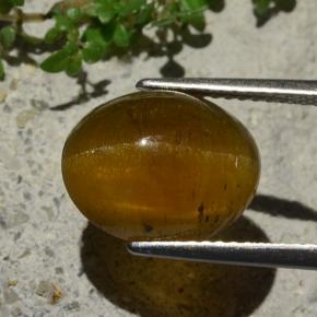 Apatita Ojo de Gato Marrón medio natural de 5.80 ct, Corte Óvalo, Translúcido
