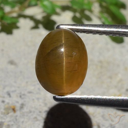 2.89ct Natural Marrón caramelo Apatita Ojo de Gato, Ovalada, Translúcido