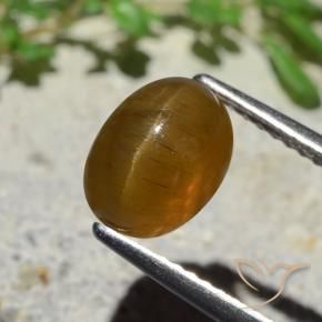 Apatita Ojo de Gato Marrón caramelo natural de 2.89 ct, Ovalada, Translúcido