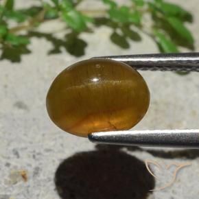 Apatita Ojo de Gato Marrón caramelo natural de 2.89 ct, Ovalada, Translúcido