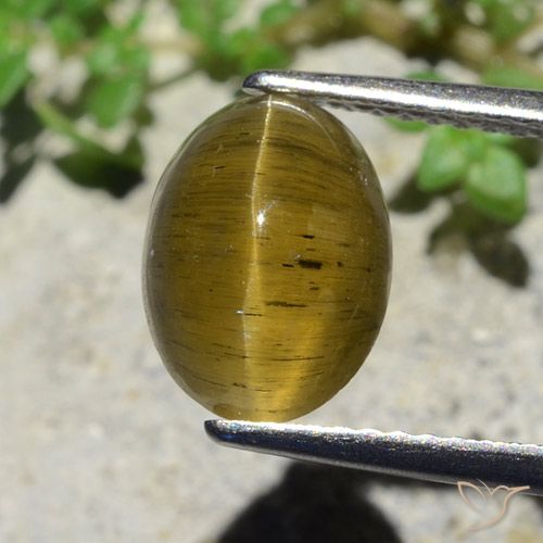 3.38ct Natural Amarillo terroso Apatita Ojo de Gato, Ovalada, Translúcido