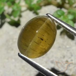 Apatita Ojo de Gato Amarillo terroso natural de 3.38 ct, Corte Óvalo, Translúcido