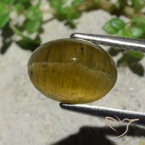 Apatita Ojo de Gato Amarillo terroso natural de 3.38 ct, Corte Óvalo, Translúcido