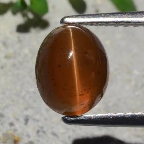 Apatita Ojo de Gato Naranja natural de 1.93 ct, Corte Óvalo, Translúcido