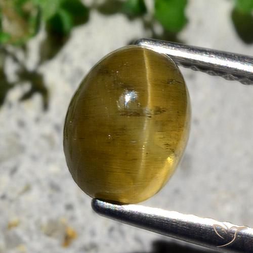 2.12ct Natural Amarillo terroso Apatita Ojo de Gato, Ovalada, Translúcido