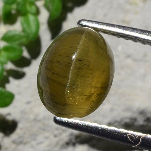 3.23ct Natural Marrón café Apatita Ojo de Gato, Ovalada, Translúcido
