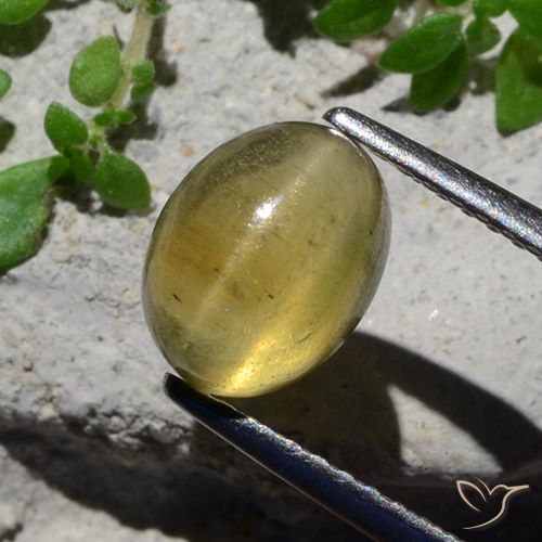 2.38ct Natural Amarillo claro Apatita Ojo de Gato, Ovalada, Translúcido