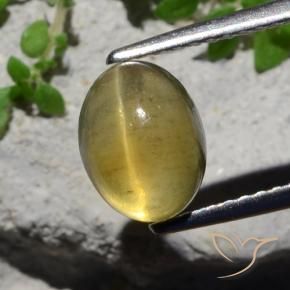 Apatita Ojo de Gato Amarillo claro natural de 2.38 ct, Ovalada, Translúcido